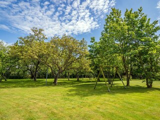 Type de propriété : Ferme De Cocksdorp Enregistrement extérieur 8