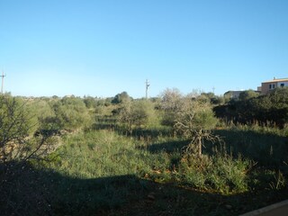 Casa per le vacanze Cala Mendia Ambiente 14