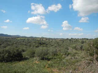 Casa per le vacanze Cala Mendia Ambiente 15