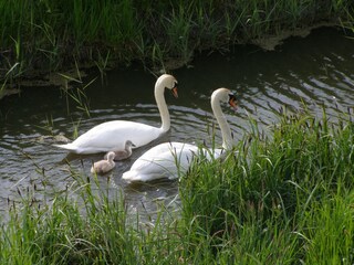 Vakantiehuis Schoorldam Omgeving 13