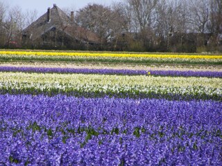 Vakantiehuis Schoorldam Omgeving 14