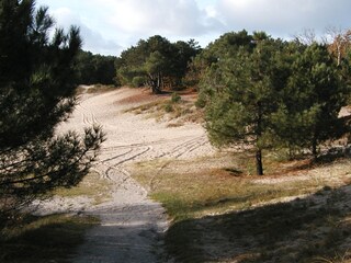 Vakantiehuis Schoorldam Omgeving 15