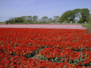 Vakantiehuis Schoorldam Omgeving 16