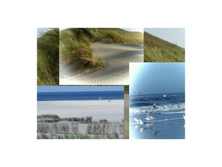 Vakantiehuis Schoorldam Document 21