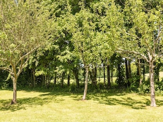 Bauernhof Auriac-du-Périgord Außenaufnahme 9