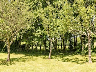 Bauernhof Auriac-du-Périgord Außenaufnahme 15