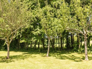 Fattoria Auriac-du-Périgord Registrazione all'aperto 14