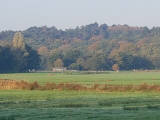 Casa per le vacanze Schoorl Ambiente 19