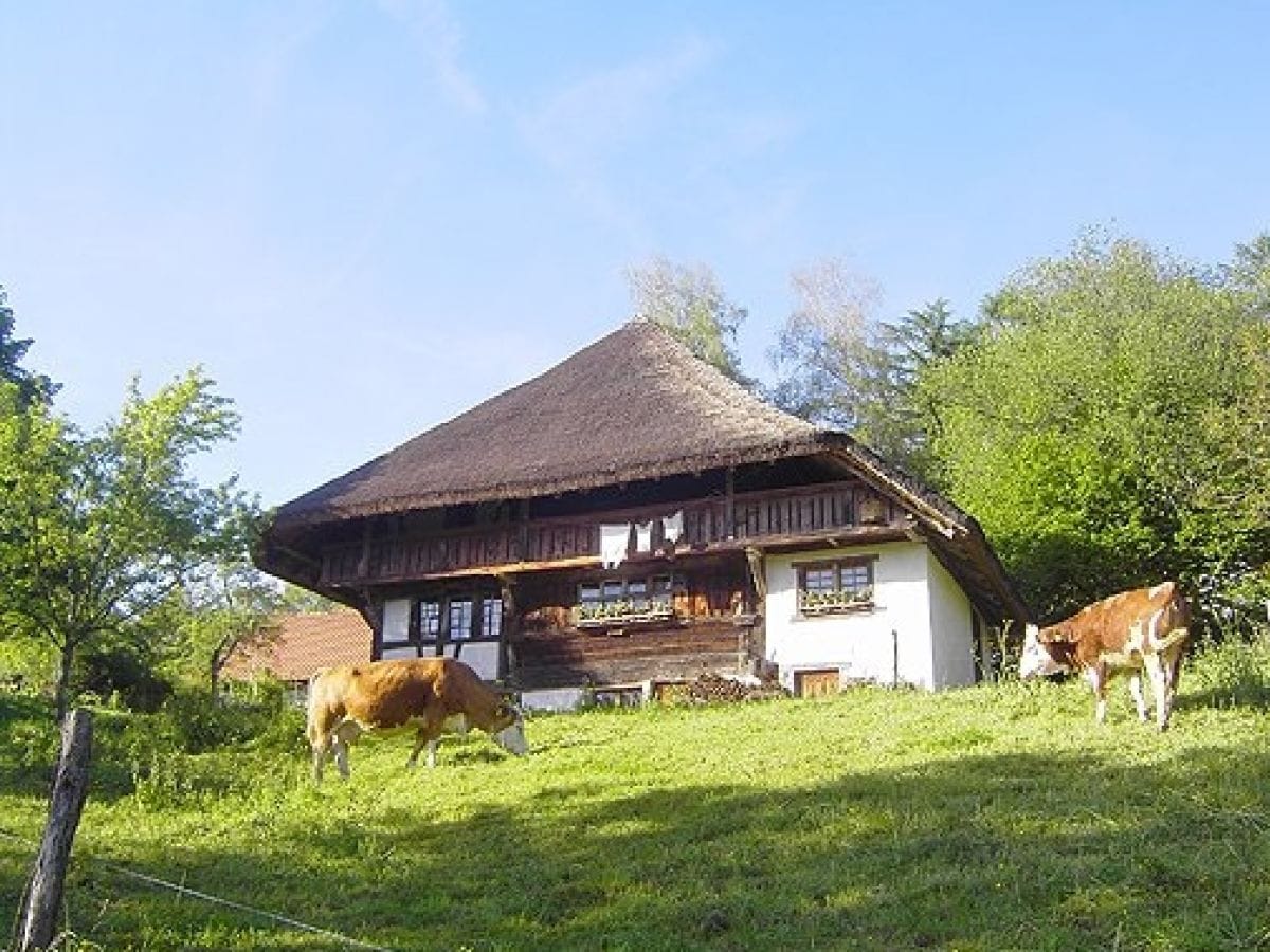 Bauernhausmuseum Schneiderhof