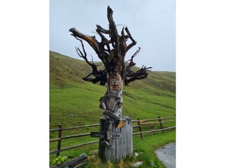 Appartamento per vacanze Velden Ambiente 37