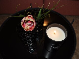 Appartamento per vacanze Velden Caratteristiche 11