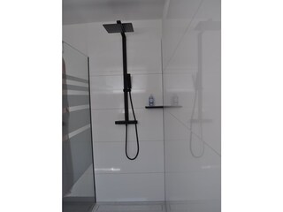 Appartamento per vacanze Velden Caratteristiche 16