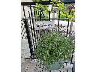 Appartamento per vacanze Velden Registrazione all'aperto 5