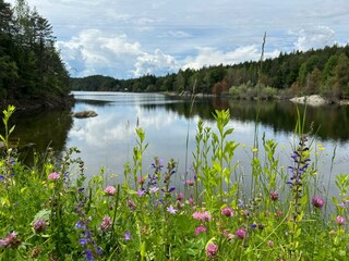 Appartamento per vacanze Velden Ambiente 28