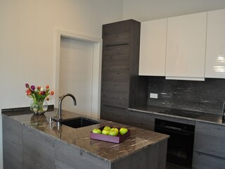 Appartamento per vacanze Velden Caratteristiche 7