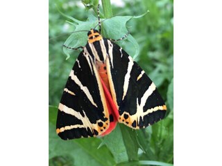 Casa per le vacanze San Siro Registrazione all'aperto 3