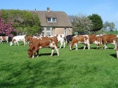 Ferienwohnungen auf dem Hof - Hoeve Nooitgedacht