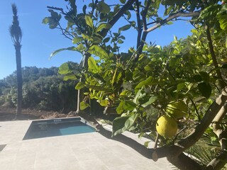 Villa Colonia de Sant Pere Grabación al aire libre 13