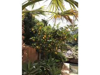 Villa Colonia de Sant Pere Grabación al aire libre 5