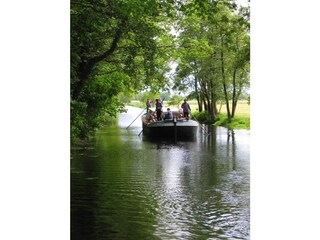 Appartement de vacances Großheide Environnement 20