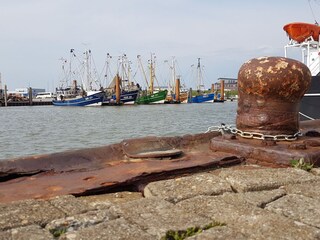 Appartamento per vacanze Großheide Ambiente 21