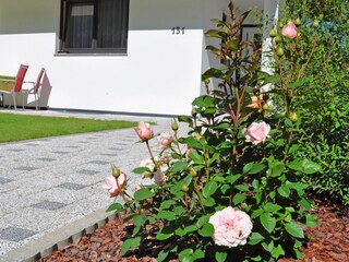 Ferienhaus Leiter Terrasse