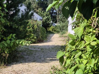 Vakantiehuis Sint Maartenszee Omgeving 8