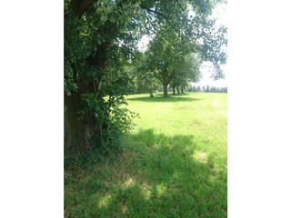 Casa de vacaciones Buchenberg Grabación al aire libre 5