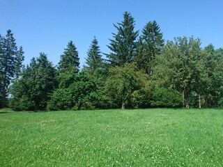 Casa de vacaciones Buchenberg Grabación al aire libre 6