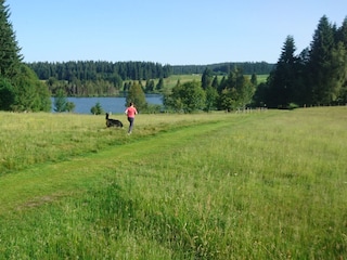 beim Eschacher Weiher