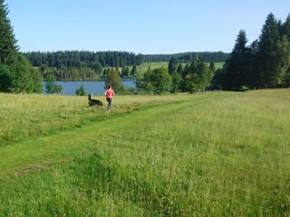 near the Eschach pond