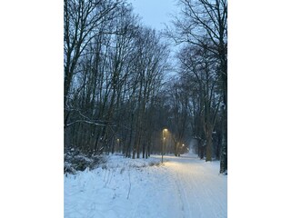 Appartamento per vacanze Kühlungsborn-Ost Ambiente 35