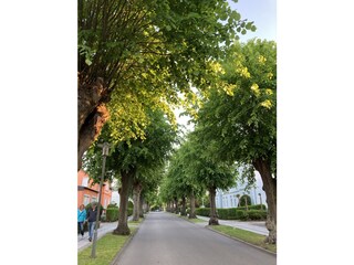 Vakantieappartement Kühlungsborn-Ost  18