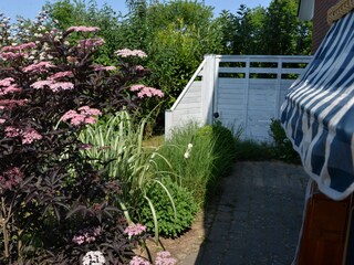 Seitliche Terrasse mit Strandkorb und Bank