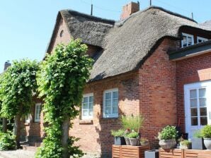 Ferienhaus Dat Strandgood - Oevenum - image1