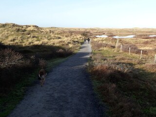 Casa per le vacanze Sint Maartenszee Ambiente 22