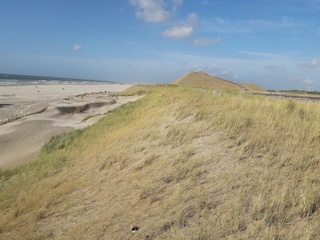 Strand Sint Maartenszee mit Dünen