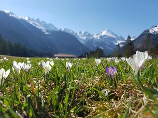 Appartamento per vacanze Oberstdorf Ambiente 13