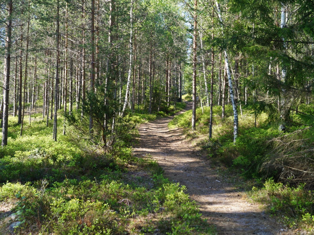 Weg zum See (ca. 3-5 Minuten zu Fuß)