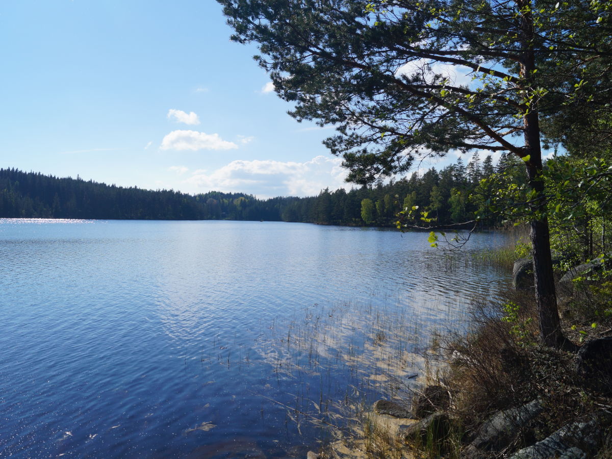 Blick über den See