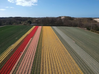Casa per le vacanze Egmond aan Zee Ambiente 24