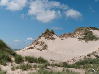Maison de vacances Egmond aan Zee Environnement 29