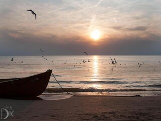 Vakantiehuis Egmond aan Zee Omgeving 23
