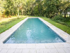 Gîte Demeure rustique à Liglet France avec piscine - LeBlanc - image1