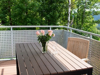 Apartment Winterberg Außenaufnahme 3