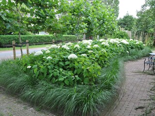 Villa Groet Registrazione all'aperto 7