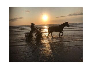 Villa Groet Ambiente 24