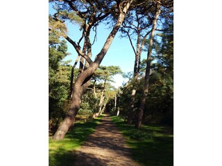 Villa Groet Ambiente 18