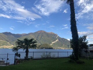 View from the garden