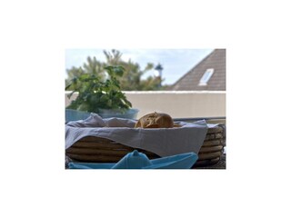 Appartamento per vacanze Wangerooge Registrazione all'aperto 11